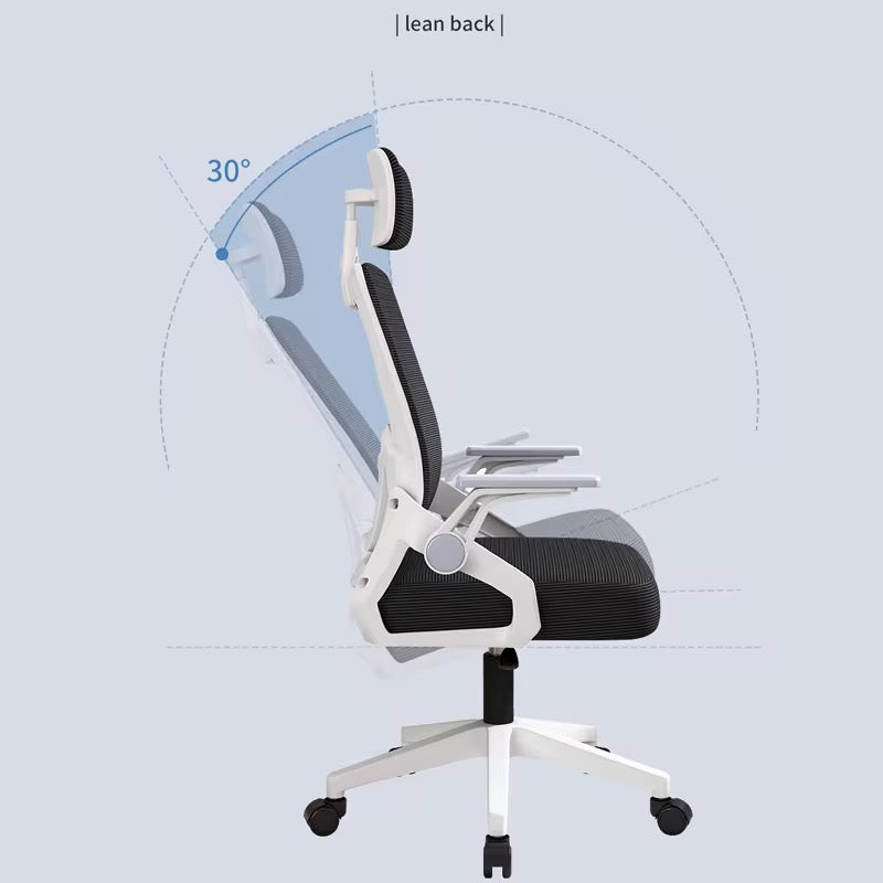 Premium Office Chair